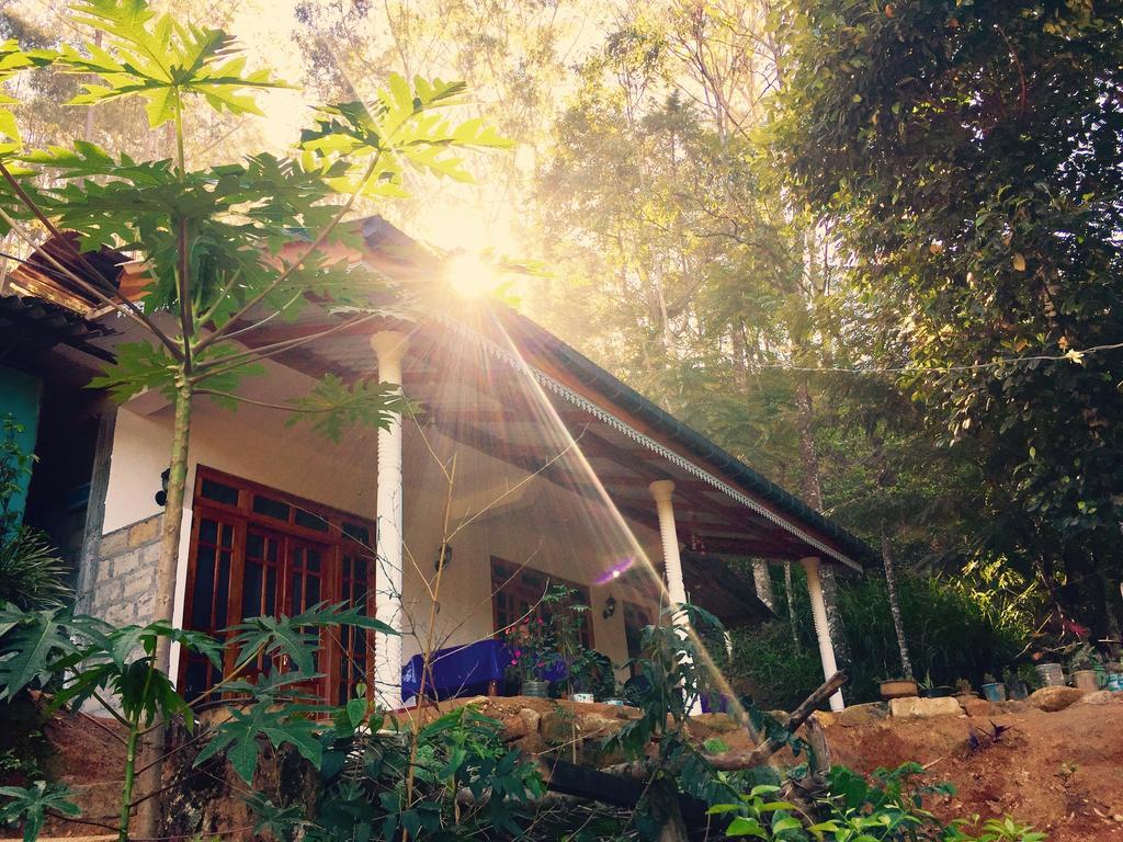 Secret Nest Homestay Ella Kültér fotó