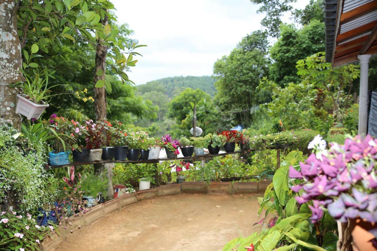Secret Nest Homestay Ella Kültér fotó