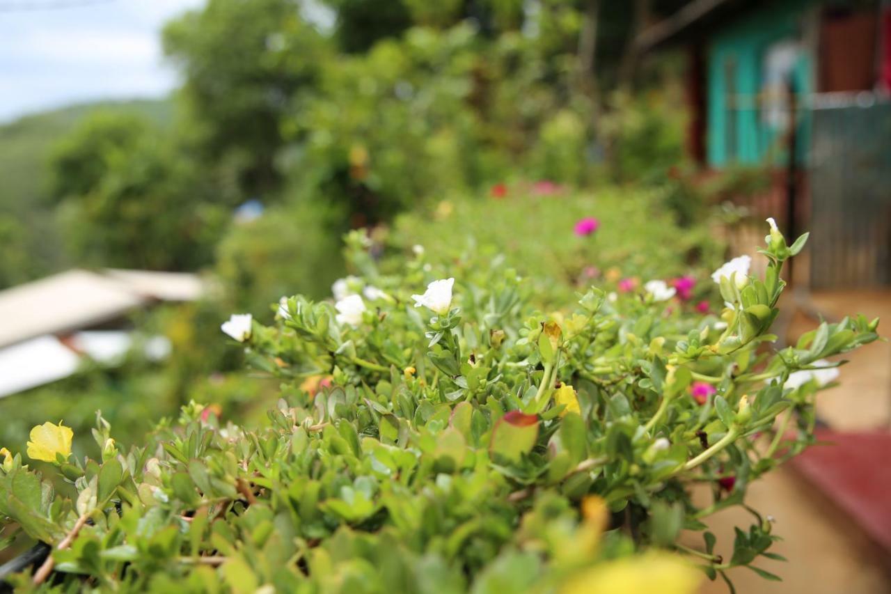 Secret Nest Homestay Ella Kültér fotó
